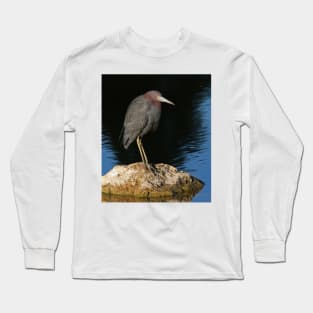 Little Blue Heron on the rocks Long Sleeve T-Shirt